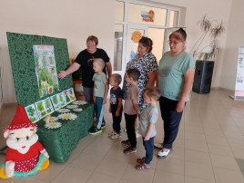 Урок безопасности Урок безопасности.